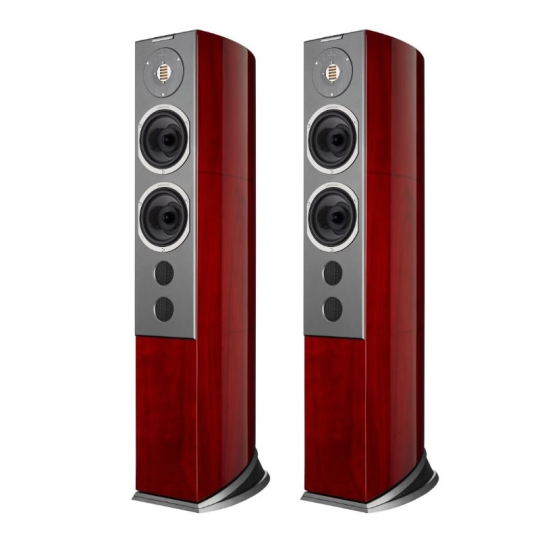 Audiovector R-6 Avantgarde Arrete