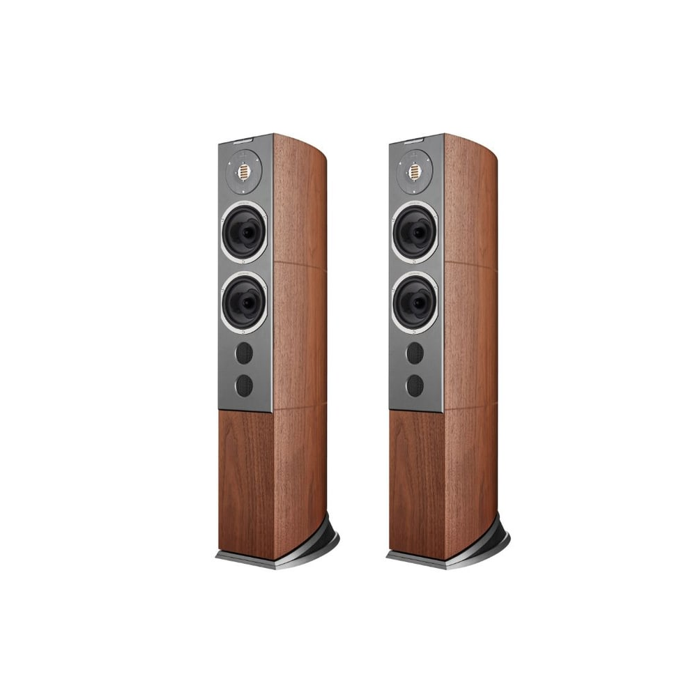 Audiovector R-6 Avantgarde Arrete