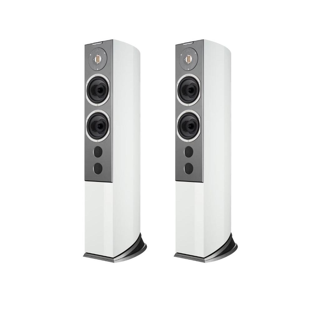 Audiovector R-6 Avantgarde Arrete