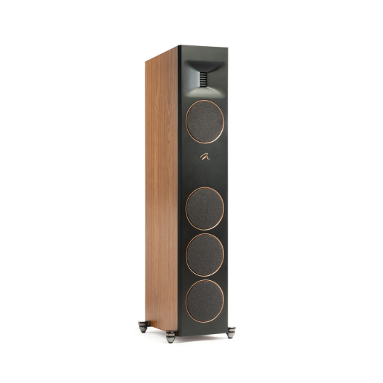 Martin Logan Motion XT F100