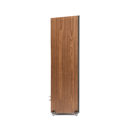 Martin Logan Motion XT F100