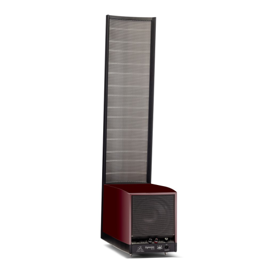 Martin Logan Expression ESL 13A