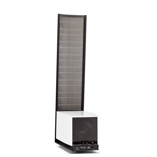 Martin Logan Expression ESL 13A