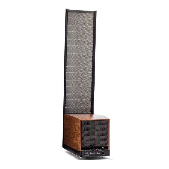 Martin Logan Expression ESL 13A