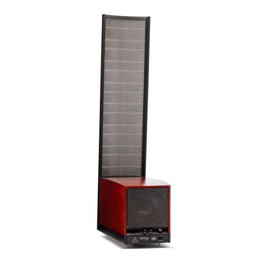 Martin Logan Expression ESL 13A