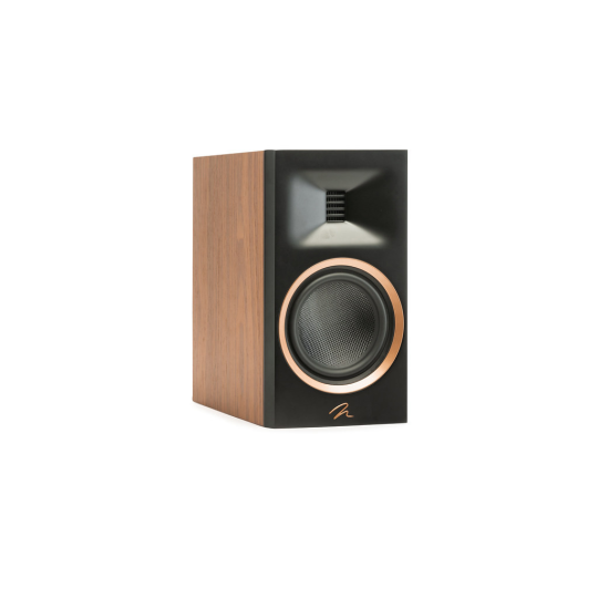 Martin Logan Motion B10