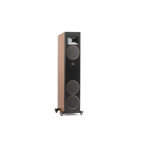 Martin Logan Motion F10