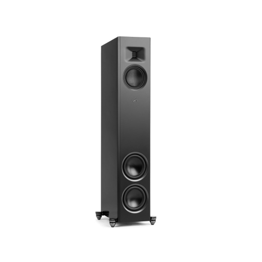 Martin Logan Motion F20