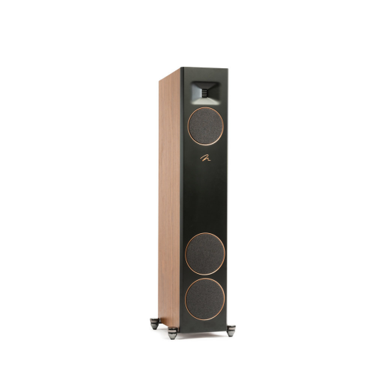 Martin Logan Motion F20