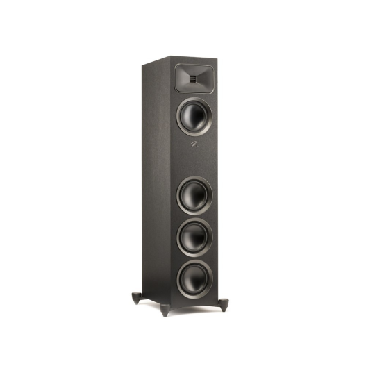 Martin Logan Motion Foundation F1