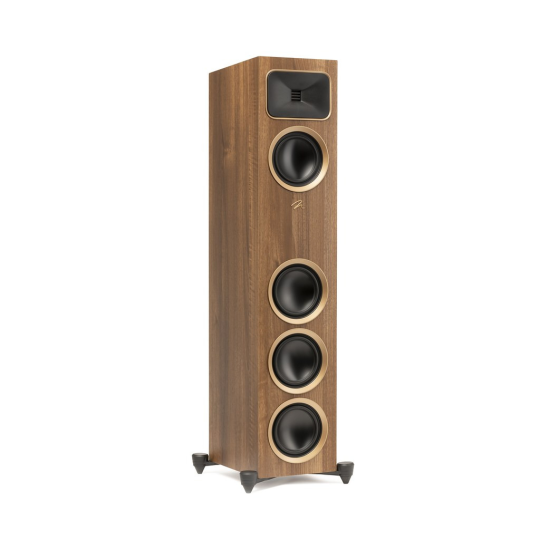 Martin Logan Motion Foundation F2